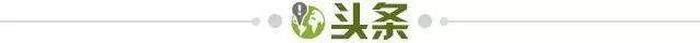 b体育app-【早报】力拼澳大利亚！女足今日冲击亚洲杯决赛！